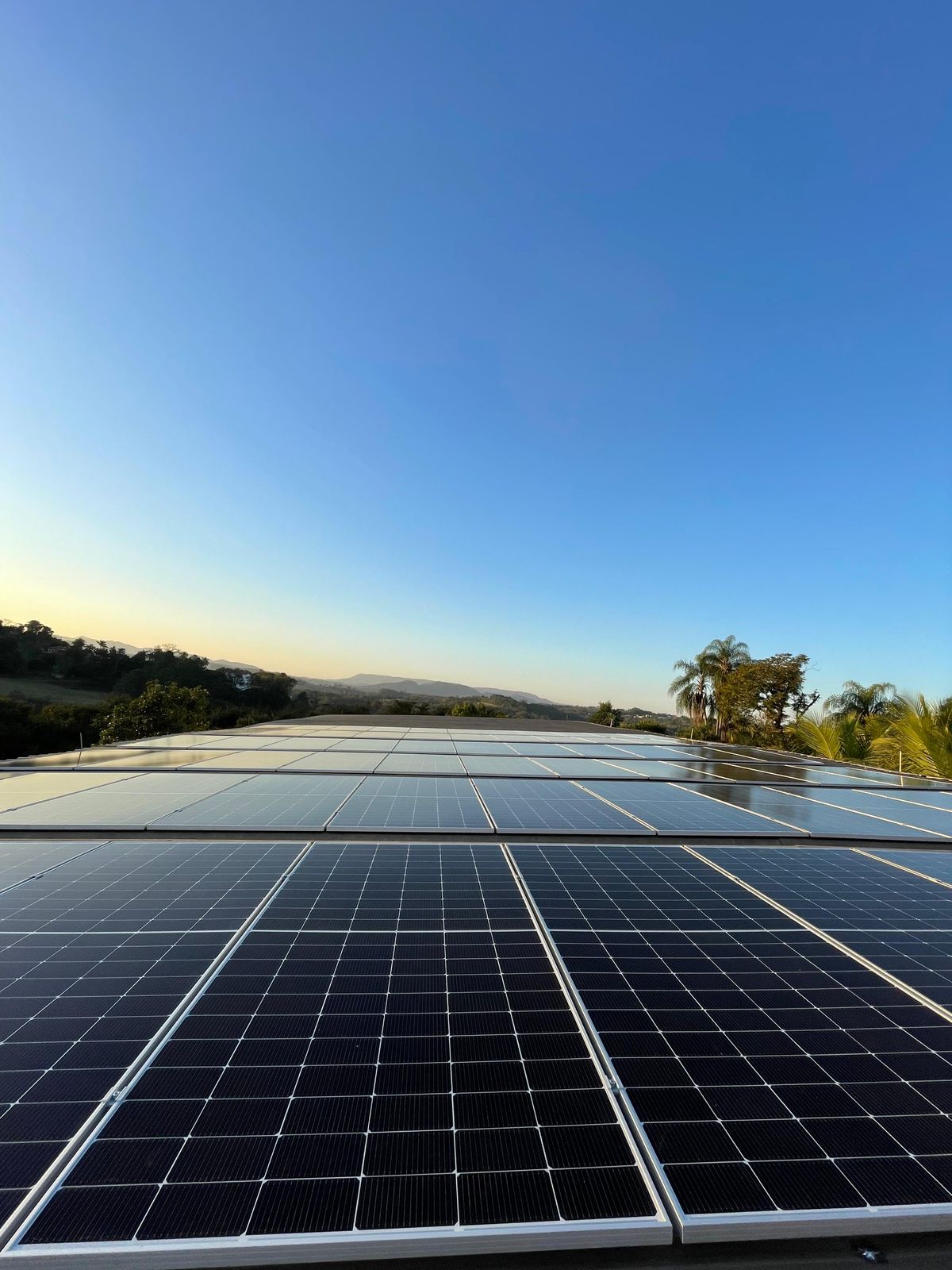 WhatsApp Image 2025-08-01 at 13.07.02.jpeg