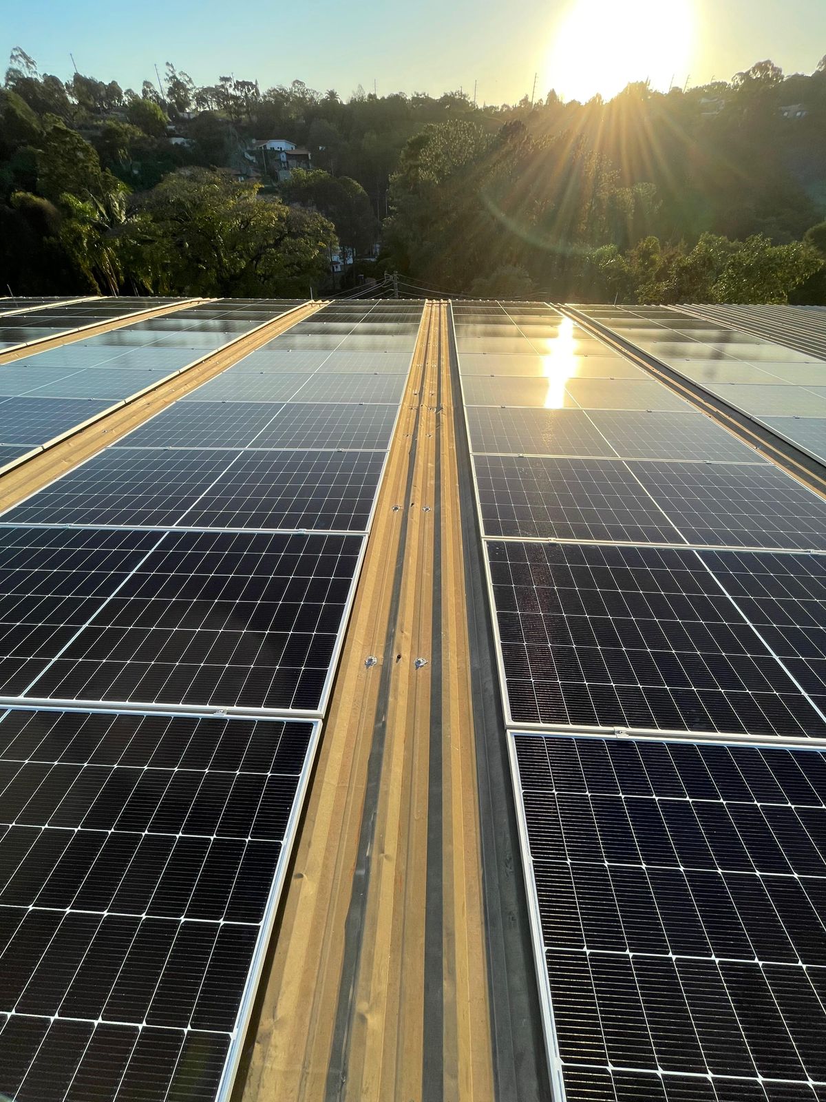 WhatsApp Image 2025-08-01 at 13.07.01.jpeg